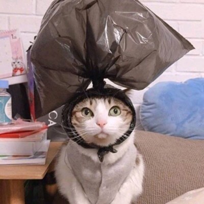 网红小孩头像搞笑4