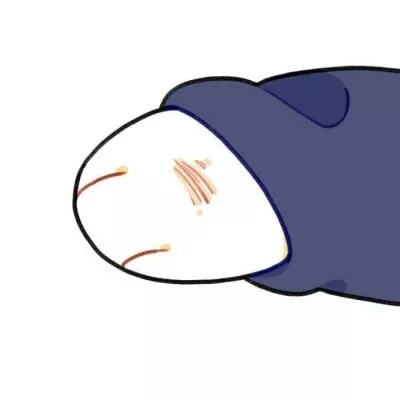 老虎头微信头像图片7 老虎头微信头像图片7