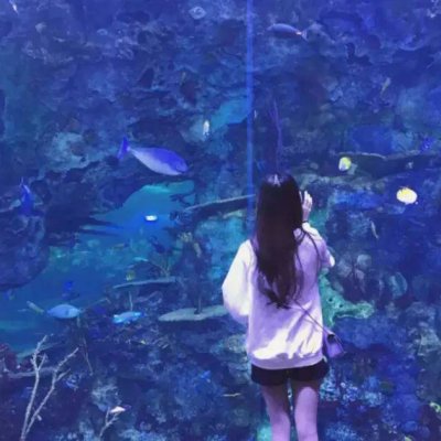 满腹的悲哀什么意思8