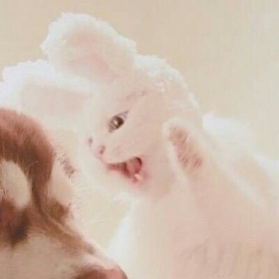 子弈游戏解说头像7 子弈游戏解说头像7