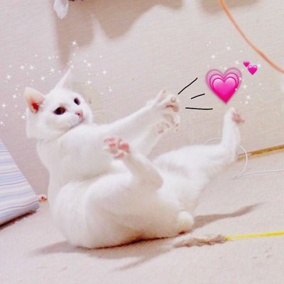 微信头像个性男搞笑9