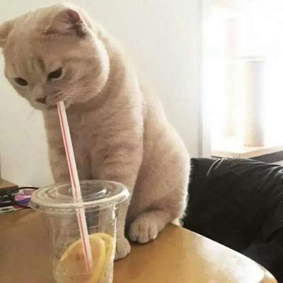 手绘头像卡通男生4