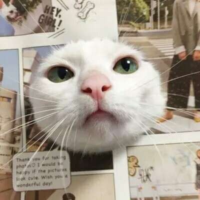 qq经典头像缺牙9