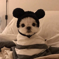 王者两张头像卡点7