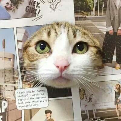 经典微信头像图片大全女生版高清8