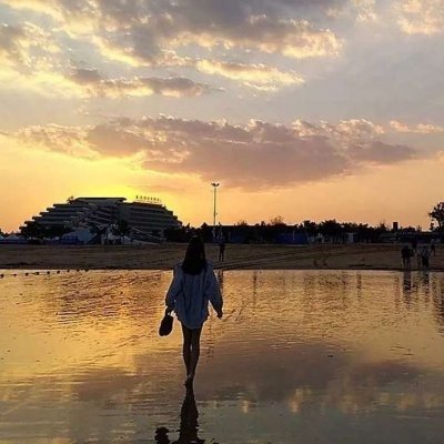夏洛特好看头像14