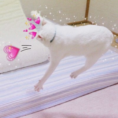QQ成果头像7