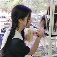 轻轻的亲的图片11