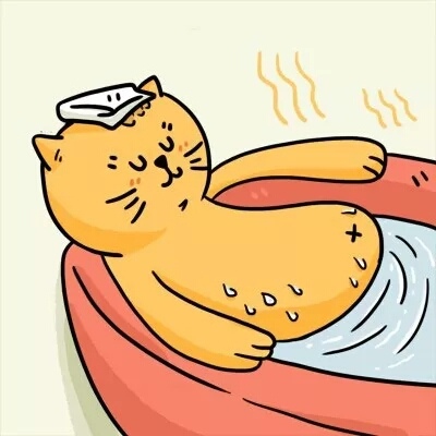 老虎头微信头像图片2 老虎头微信头像图片2