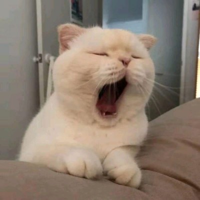 手指戒指个性头像1