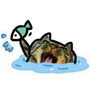 猫头像黑色背景图片10