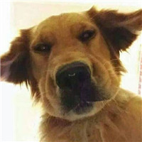 好看头盔女头像12 好看头盔女头像12