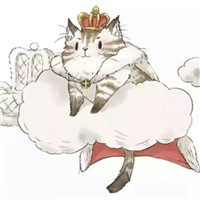 小猪卡通头像卡哇伊8