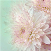 qq卡通手绘情侣头像8