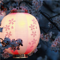 枪火战神的经典头像1