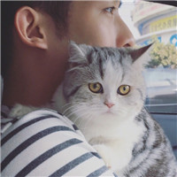 搞笑猥琐熊猫头像6
