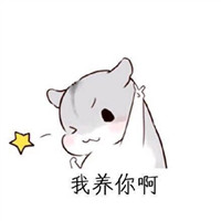 我们有酷炫的王者头像12