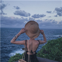 头像苍蝇身子像蜜蜂的是什么8