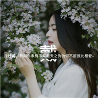 最好看抖音头像6